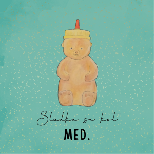 Sweet Notes kartica "Sladka kot med" z ročno narisanim motivom medenega medvedka.